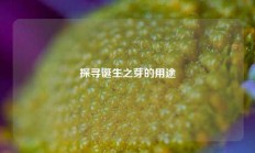 探寻诞生之芽的用途