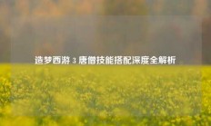 造梦西游 3 唐僧技能搭配深度全解析