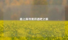 踏上探寻黑铁酒吧之旅