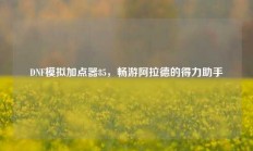 DNF模拟加点器85，畅游阿拉德的得力助手