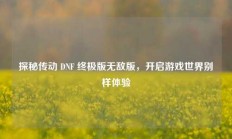 探秘传动 DNF 终极版无敌版，开启游戏世界别样体验
