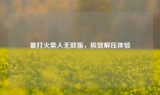 暴打火柴人无敌版，极致解压体验