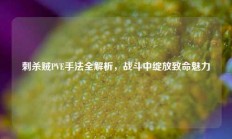 刺杀贼PVE手法全解析，战斗中绽放致命魅力