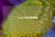 Tumblr下载全面解析