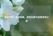 使命召唤 6 无敌秘籍,游戏乐趣与适度使用之探