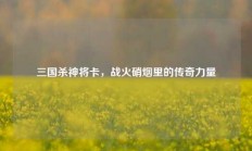 三国杀神将卡，战火硝烟里的传奇力量