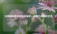 完美国际刺客技能全解析，隐匿与杀戮的艺术