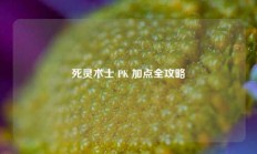 死灵术士 PK 加点全攻略