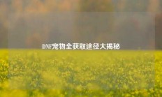 DNF宠物全获取途径大揭秘