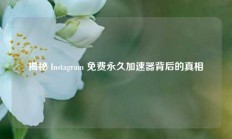 揭秘 Instagram 免费永久加速器背后的真相