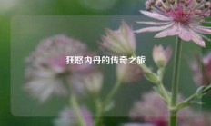狂怒内丹的传奇之旅