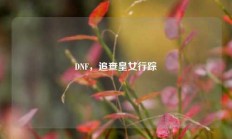 DNF，追查皇女行踪