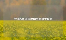 奥尔多声望快速刷取秘籍大揭秘