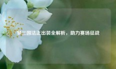 梦三国法正出装全解析，助力赛场征战