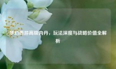 梦幻西游高级内丹，玩法深度与战略价值全解析