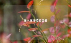 深入探秘技能世界
