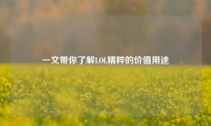 一文带你了解LOL精粹的价值用途