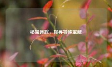 秘宝迷踪，探寻特殊宝藏