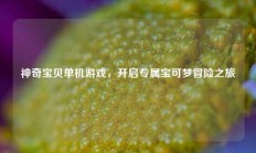 神奇宝贝单机游戏，开启专属宝可梦冒险之旅