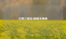 幻想三国志4秘籍全揭秘