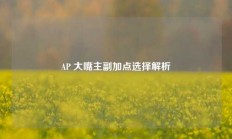 AP 大嘴主副加点选择解析