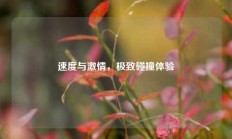 速度与激情，极致碰撞体验