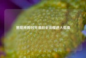 黑暗神殿时光漫游全流程进入指南