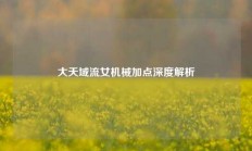 大天域流女机械加点深度解析