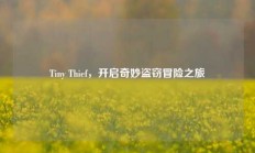 Tiny Thief，开启奇妙盗窃冒险之旅