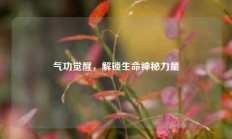 气功觉醒，解锁生命神秘力量