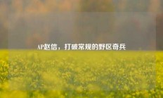 AP赵信，打破常规的野区奇兵
