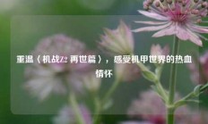 重温〈机战Z2 再世篇〉，感受机甲世界的热血情怀