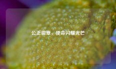 公正徽章，使命闪耀光芒