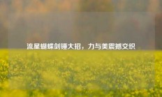 流星蝴蝶剑锤大招，力与美震撼交织