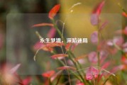永生梦境，深陷迷局