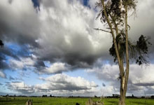 保卫萝卜天际20关攻略图解,轻松通关秘籍揭秘