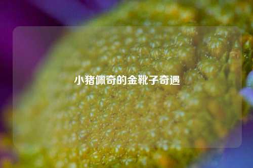 小猪佩奇的金靴子奇遇