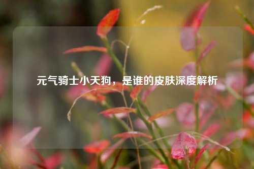 元气骑士小天狗，是谁的皮肤深度解析