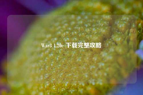 War3 1.20e 下载完整攻略