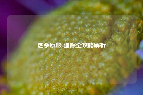 虐杀原形2追踪全攻略解析