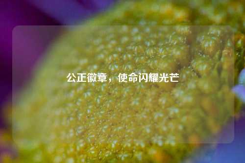 公正徽章,使命闪耀光芒