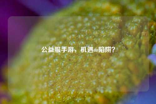 公益服手游,机遇or陷阱?