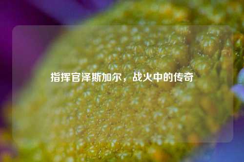 指挥官泽斯加尔,战火中的传奇