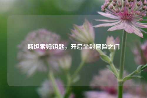 斯坦索姆钥匙,开启尘封冒险之门