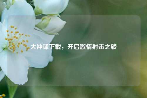 大冲锋下载,开启激情射击之旅