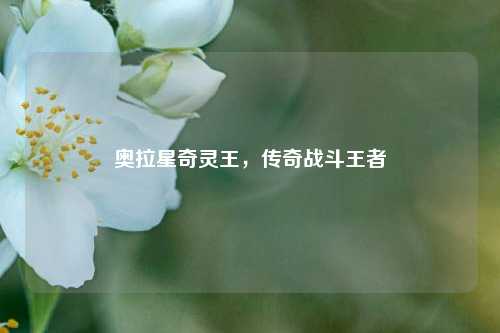 奥拉星奇灵王,传奇战斗王者