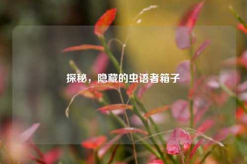 探秘,隐藏的虫语者箱子