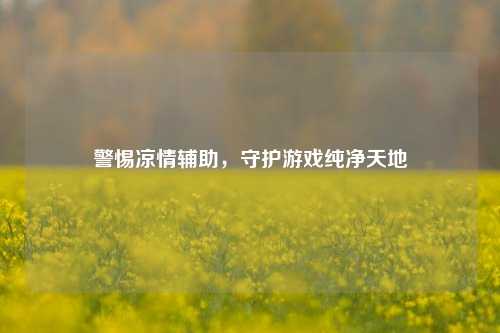 警惕凉情辅助,守护游戏纯净天地