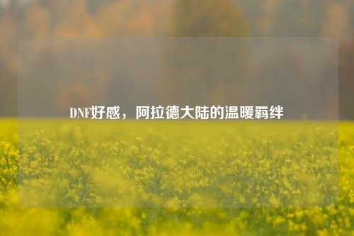 DNF好感,阿拉德大陆的温暖羁绊