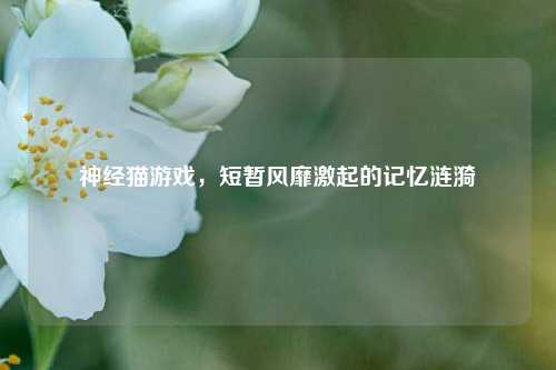 神经猫游戏,短暂风靡激起的记忆涟漪